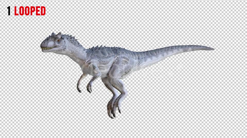 Tyrannosaurus Dinosaur 4 Realistic Pack 4 Videohive 20980674 Motion Graphics Image 2
