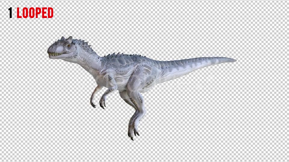 Tyrannosaurus Dinosaur 4 Realistic Pack 4 Videohive 20980674 Motion Graphics Image 3