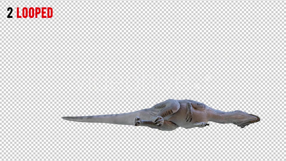 Tyrannosaurus Dinosaur 4 Realistic Pack 4 Videohive 20980674 Motion Graphics Image 4