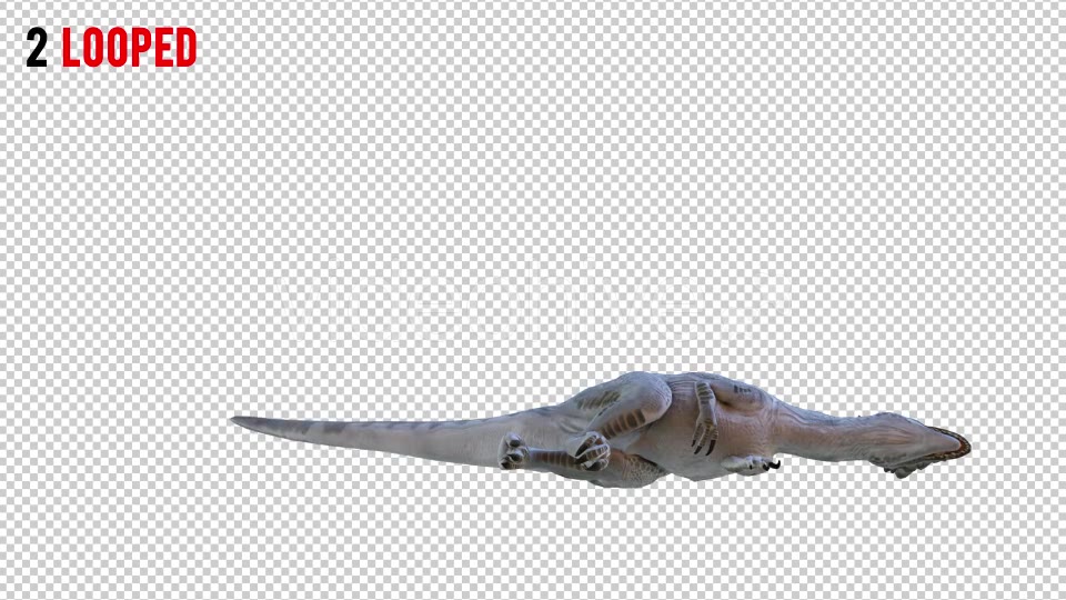 Tyrannosaurus Dinosaur 4 Realistic Pack 4 Videohive 20980674 Motion Graphics Image 5