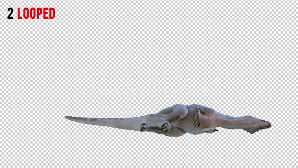 Tyrannosaurus Dinosaur 4 Realistic Pack 4 Videohive 20980674 Motion Graphics Image 6