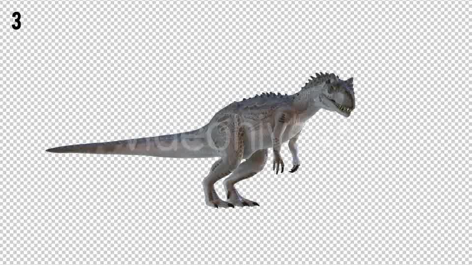 Tyrannosaurus Dinosaur 4 Realistic Pack 4 Videohive 20980674 Motion Graphics Image 8