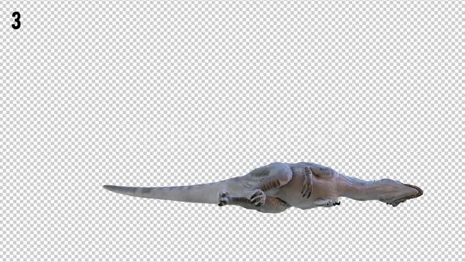 Tyrannosaurus Dinosaur 4 Realistic Pack 4 Videohive 20980674 Motion Graphics Image 9