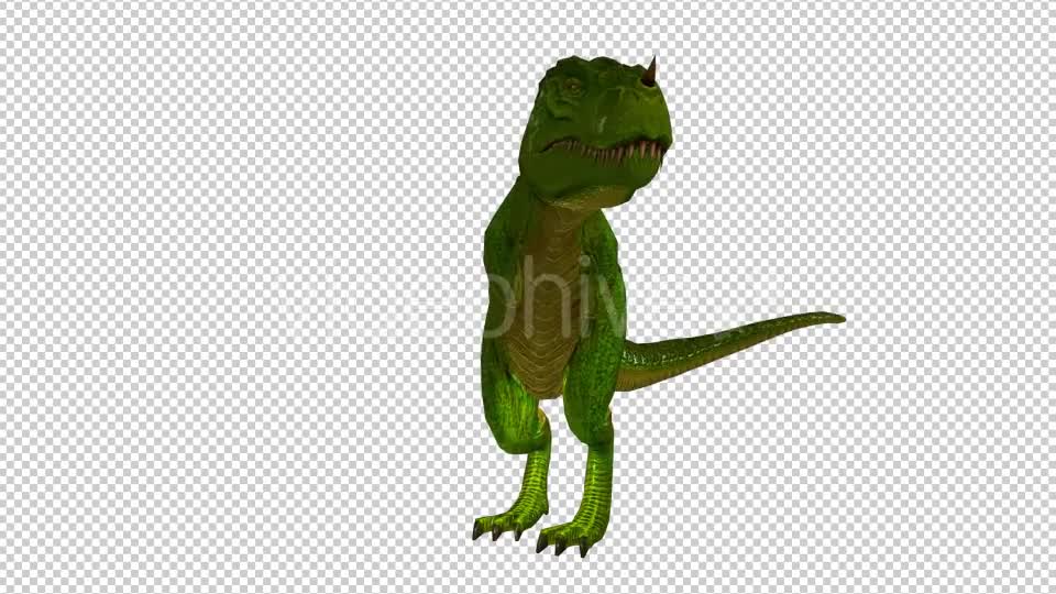 Tyrannosaurus Dinosaur Looped 2 Videohive 20775763 Motion Graphics Image 1