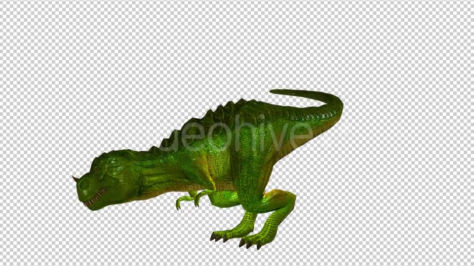 Tyrannosaurus Dinosaur Looped 2 Videohive 20775763 Motion Graphics Image 4