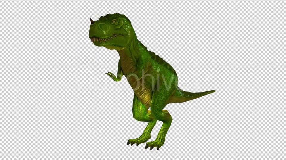 Tyrannosaurus Dinosaur Looped Videohive 20775754 Motion Graphics Image 1
