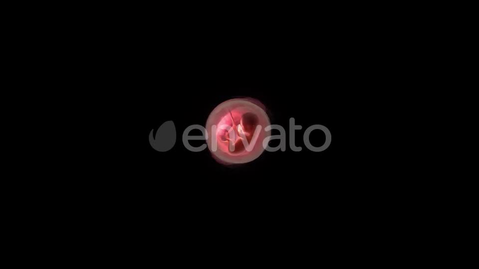 Unborn Baby Inside Womb Videohive 22012381 Motion Graphics Image 1