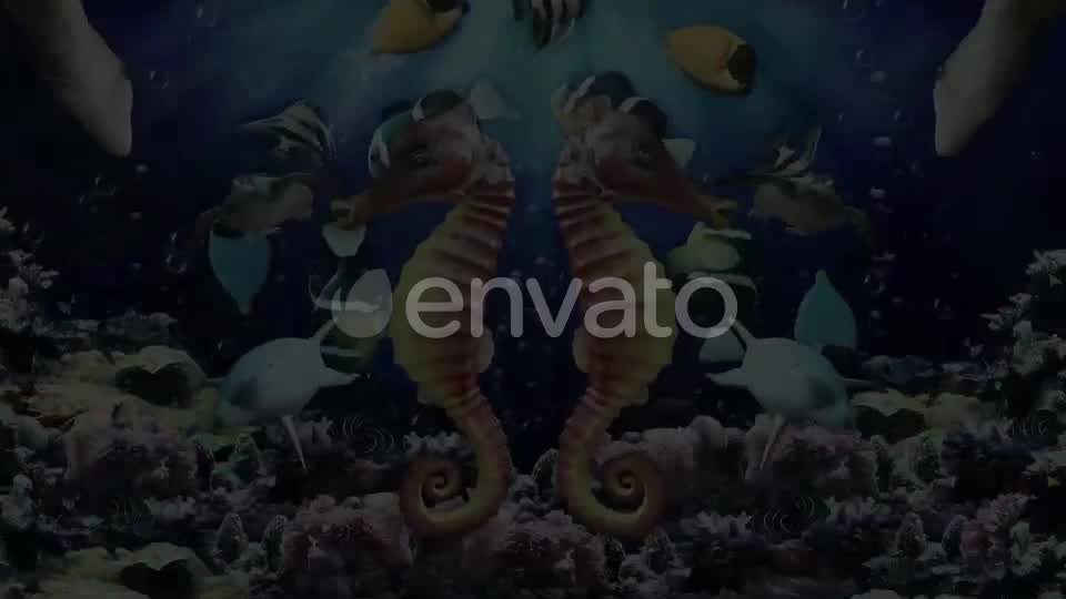 Under The Sea Videohive 24019012 Motion Graphics Image 10