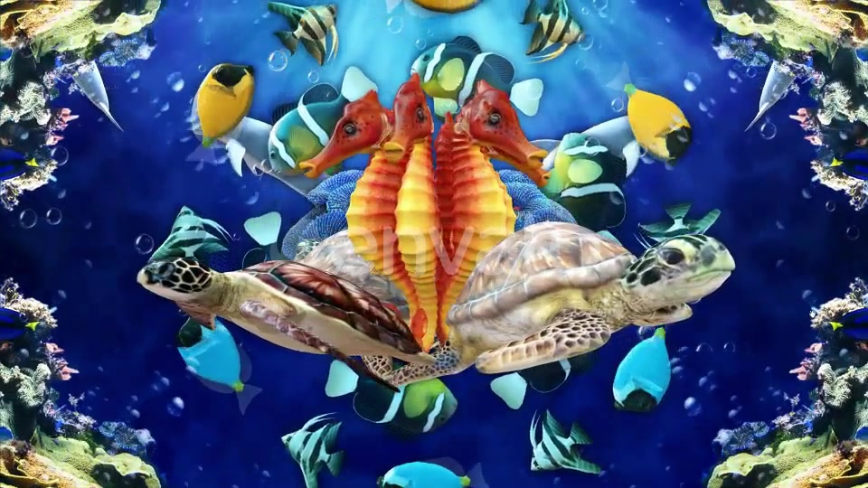 Under The Sea Videohive 24019012 Motion Graphics Image 4