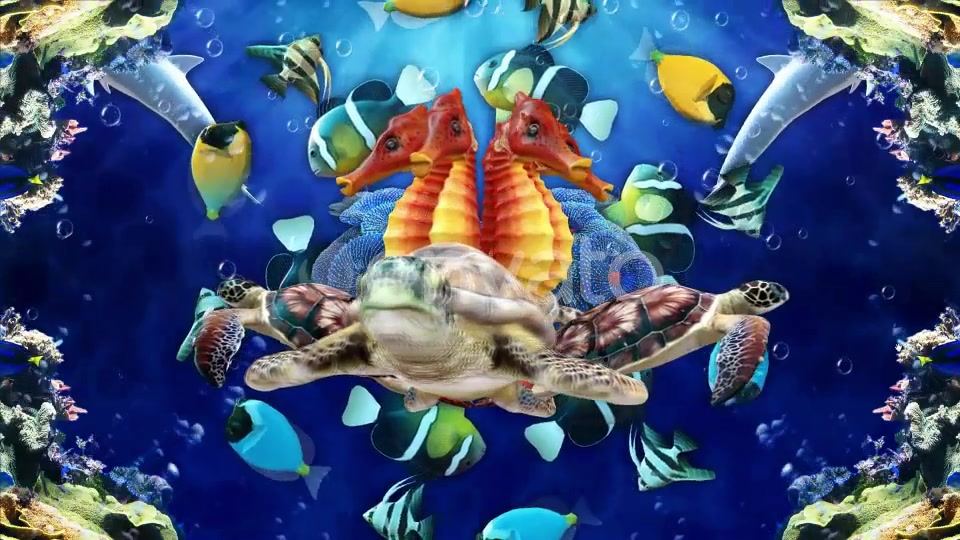 Under The Sea Videohive 24019012 Motion Graphics Image 5