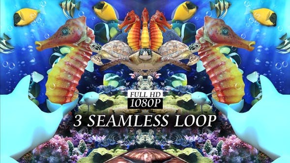 Under The Sea - Download Videohive 24019012