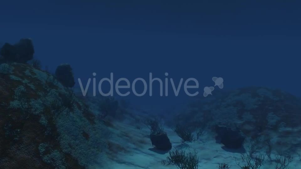 Under Water 01 Videohive 21225395 Motion Graphics Image 1