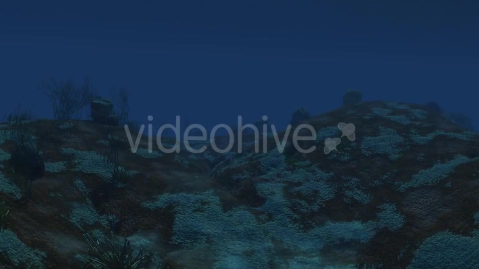 Under Water 01 Videohive 21225395 Motion Graphics Image 3