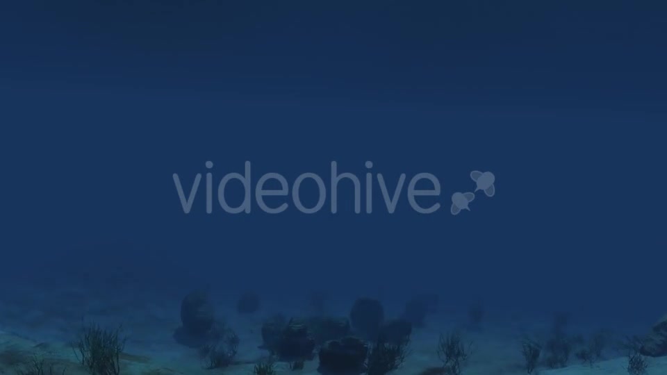 Under Water 01 Videohive 21225395 Motion Graphics Image 5