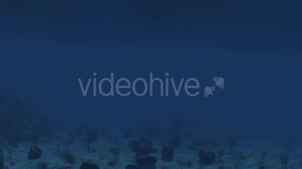 Under Water 01 Videohive 21225395 Motion Graphics Image 6