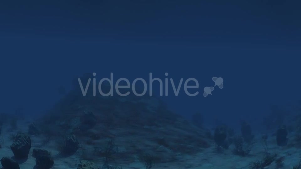 Under Water 01 Videohive 21225395 Motion Graphics Image 7