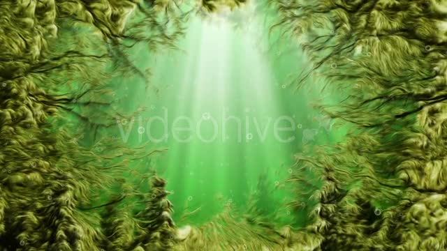 Under Water Seaweed Videohive 10336465 Motion Graphics Image 1