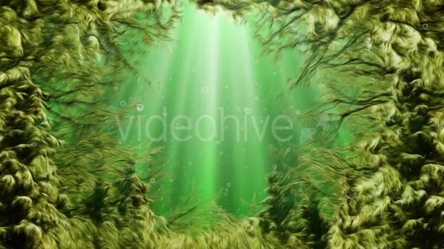 Under Water Seaweed Videohive 10336465 Motion Graphics Image 2