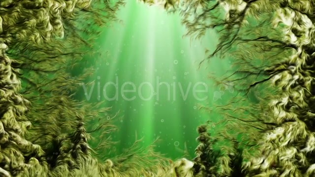 Under Water Seaweed Videohive 10336465 Motion Graphics Image 3
