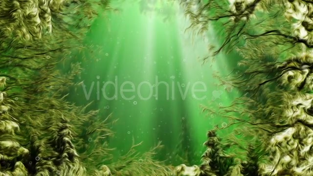 Under Water Seaweed Videohive 10336465 Motion Graphics Image 4