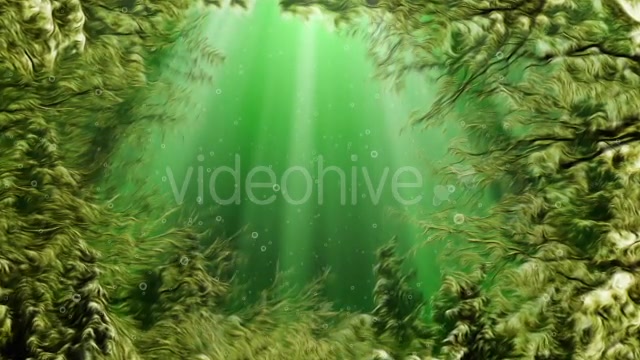 Under Water Seaweed Videohive 10336465 Motion Graphics Image 5