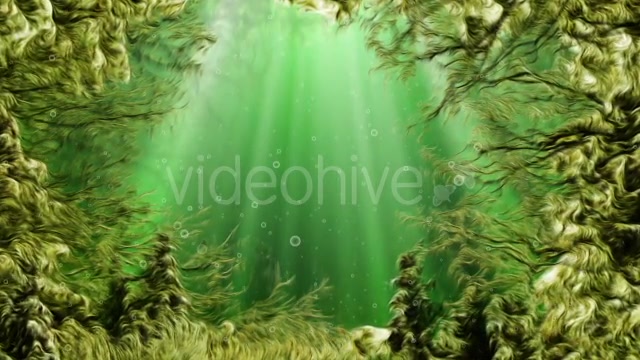 Under Water Seaweed Videohive 10336465 Motion Graphics Image 6