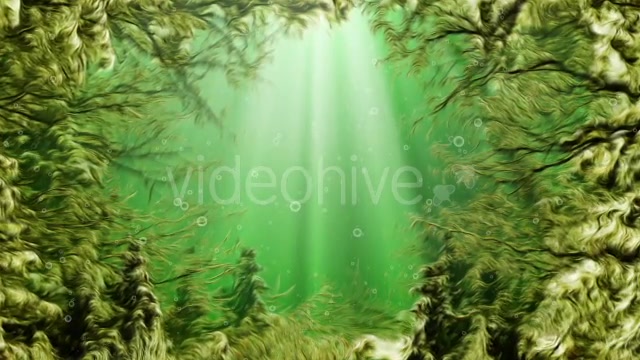 Under Water Seaweed Videohive 10336465 Motion Graphics Image 7