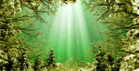 Under Water Seaweed - 10336465 Videohive Download
