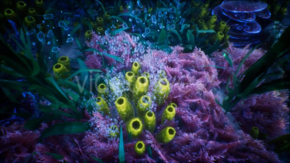 Under Water World 1 Videohive 20337022 Motion Graphics Image 3