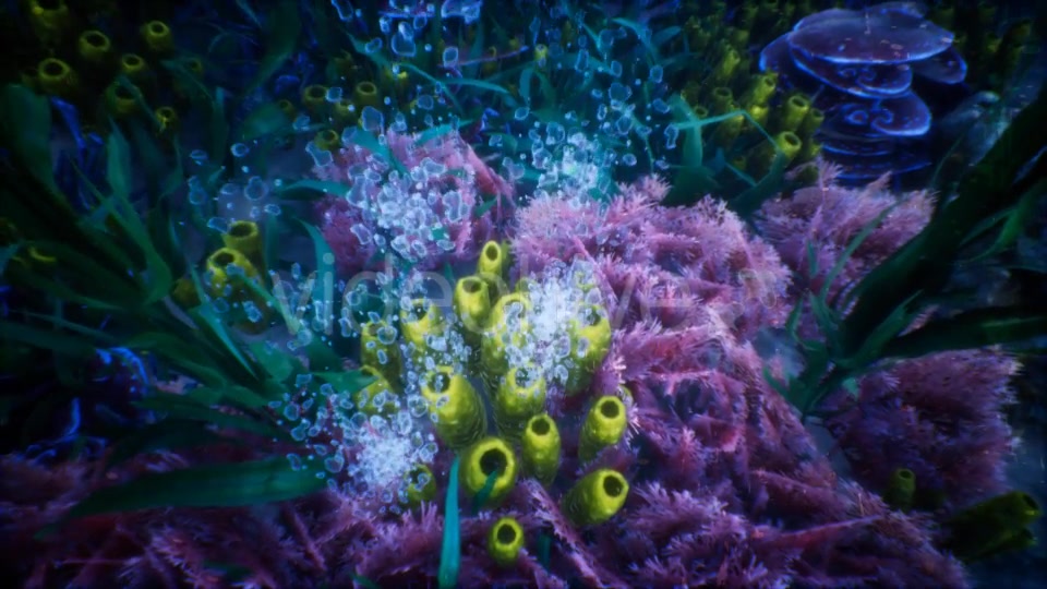 Under Water World 1 Videohive 20337022 Motion Graphics Image 4