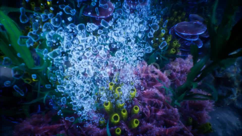 Under Water World 1 Videohive 20337022 Motion Graphics Image 9