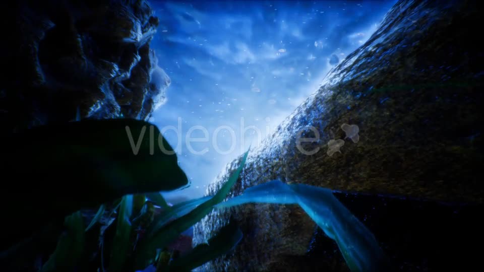 Under Water World 2 Videohive 20337028 Motion Graphics Image 1