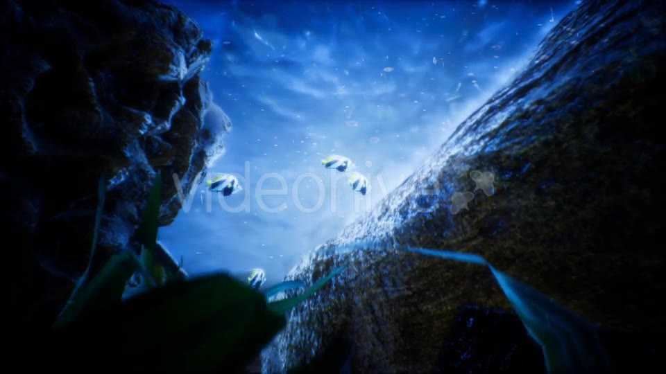 Under Water World 2 Videohive 20337028 Motion Graphics Image 2