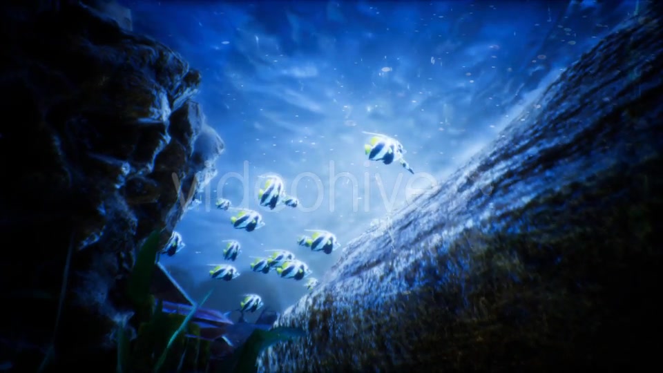 Under Water World 2 Videohive 20337028 Motion Graphics Image 3