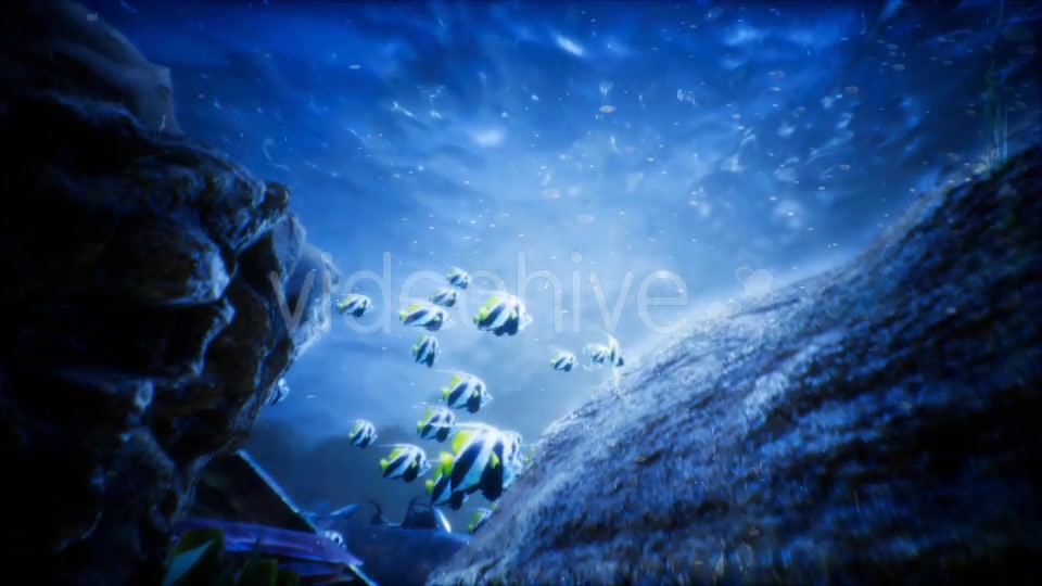 Under Water World 2 Videohive 20337028 Motion Graphics Image 4