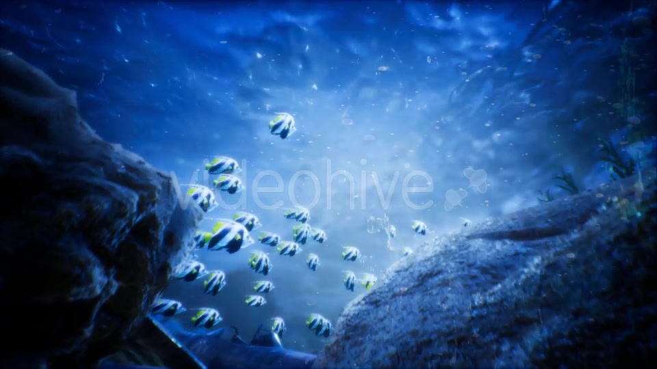 Under Water World 2 Videohive 20337028 Motion Graphics Image 5