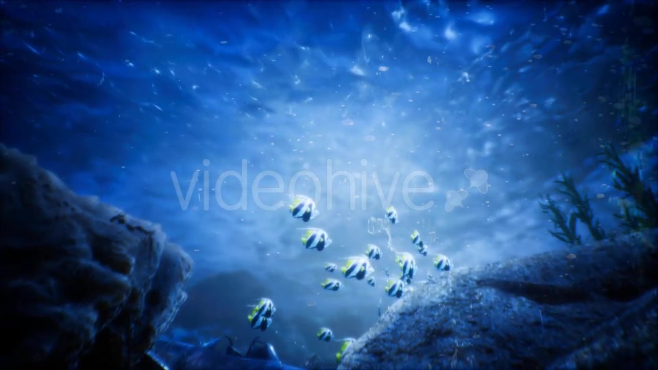 Under Water World 2 Videohive 20337028 Motion Graphics Image 6