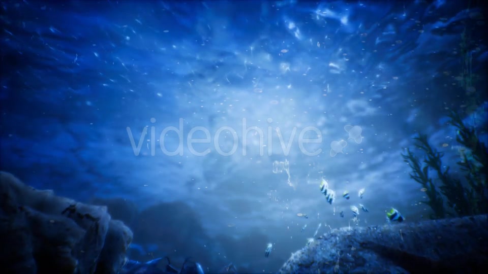 Under Water World 2 Videohive 20337028 Motion Graphics Image 7