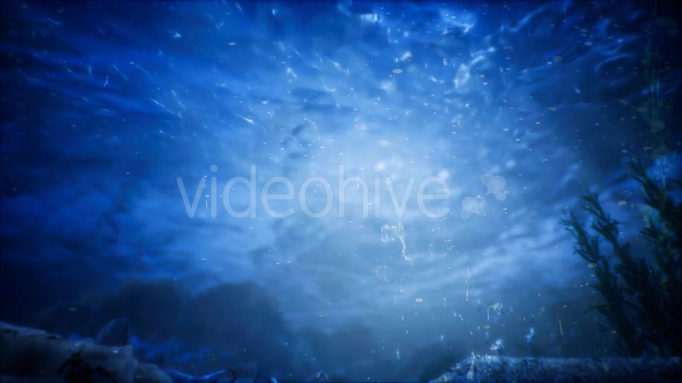 Under Water World 2 Videohive 20337028 Motion Graphics Image 8