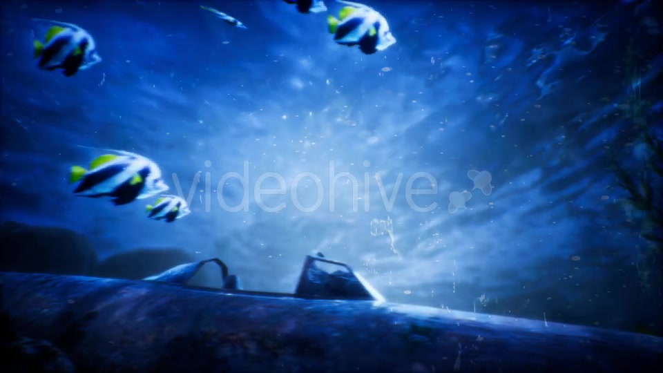Under Water World 3 Videohive 20337035 Motion Graphics Image 2