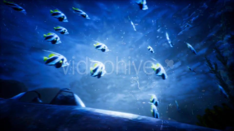 Under Water World 3 Videohive 20337035 Motion Graphics Image 3