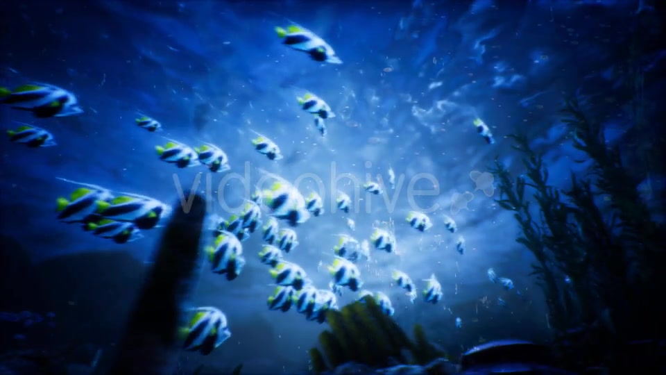 Under Water World 3 Videohive 20337035 Motion Graphics Image 5
