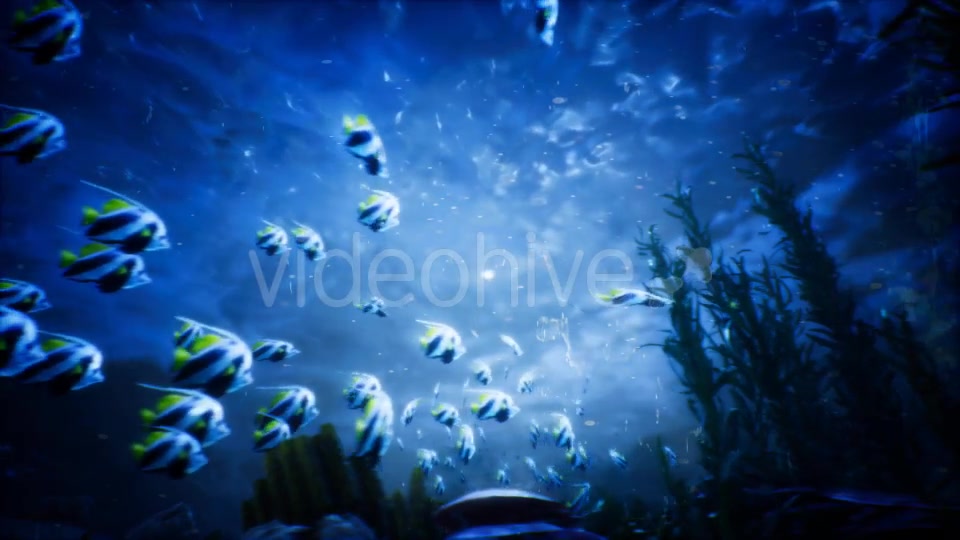 Under Water World 3 Videohive 20337035 Motion Graphics Image 6