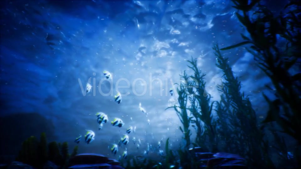 Under Water World 3 Videohive 20337035 Motion Graphics Image 7