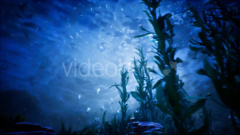 Under Water World 3 Videohive 20337035 Motion Graphics Image 8