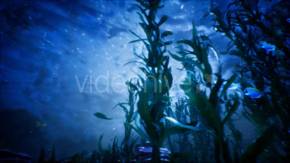 Under Water World 3 Videohive 20337035 Motion Graphics Image 9