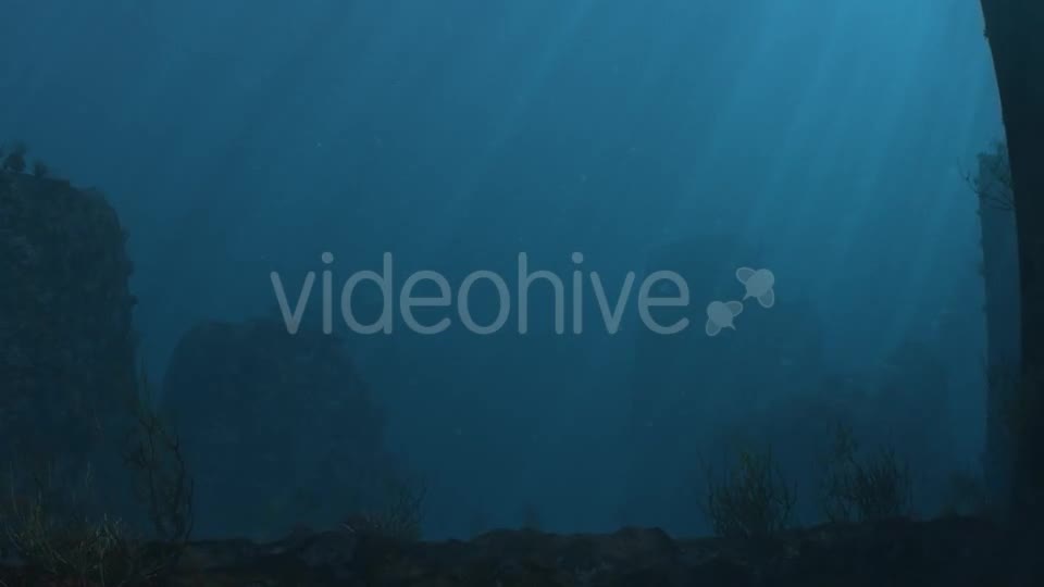 Underwater 02 Videohive 16729175 Motion Graphics Image 1