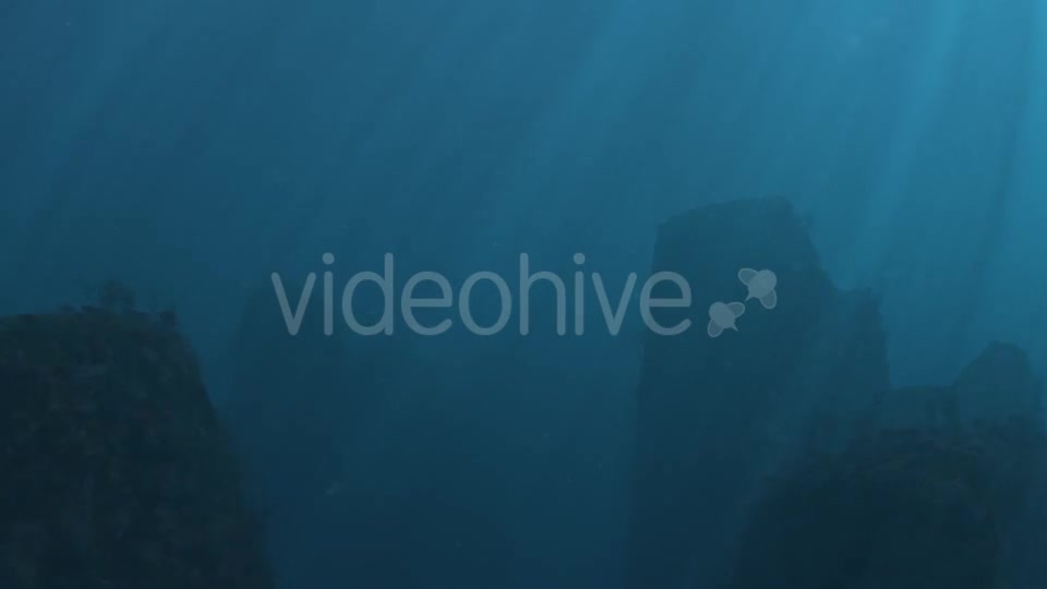 Underwater 02 Videohive 16729175 Motion Graphics Image 6