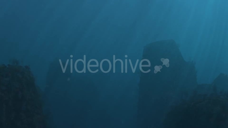 Underwater 02 Videohive 16729175 Motion Graphics Image 7
