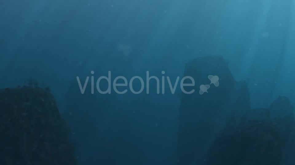 Underwater 03 Videohive 16765796 Motion Graphics Image 6